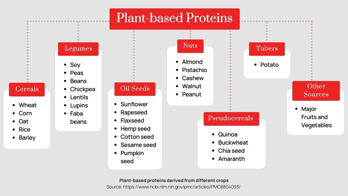 Plant Bases Proteins Diagram